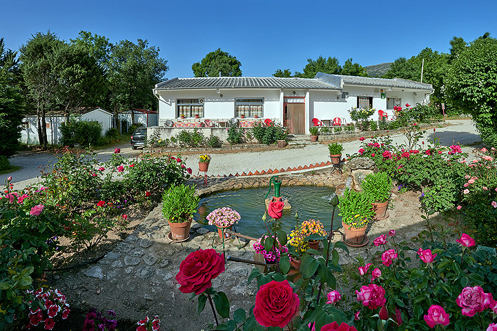 Generic placeholder image